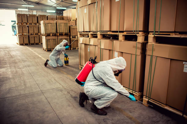Best Affordable Exterminators  in Batavia, NY