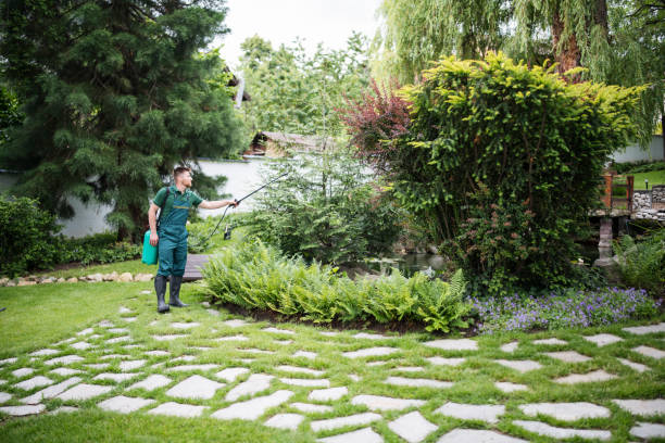 Best Local Pest Control Services  in Batavia, NY