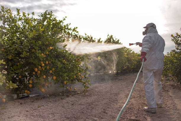Best Bed Bug Extermination  in Batavia, NY