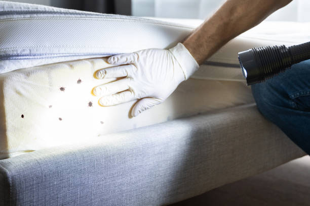 Best Pest Prevention Services  in Batavia, NY