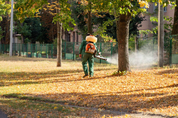 Best Bird Control  in Batavia, NY