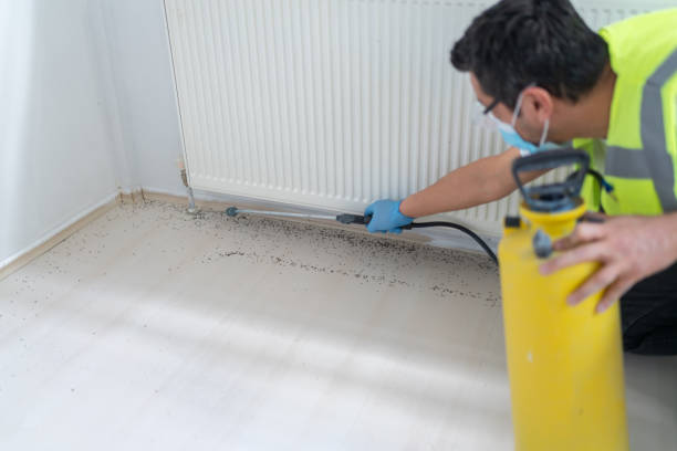 Best Termite Control Services  in Batavia, NY