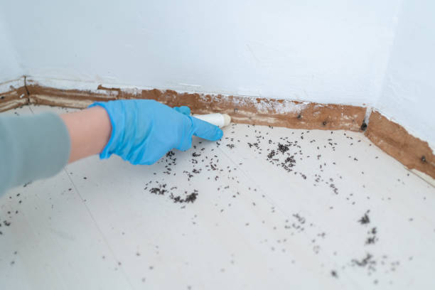 Best Commercial Pest Control Services  in Batavia, NY